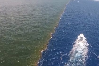 Alaska Körfezi'nde Tuzlu ve Tatlı Suların Sıradışı Buluşması