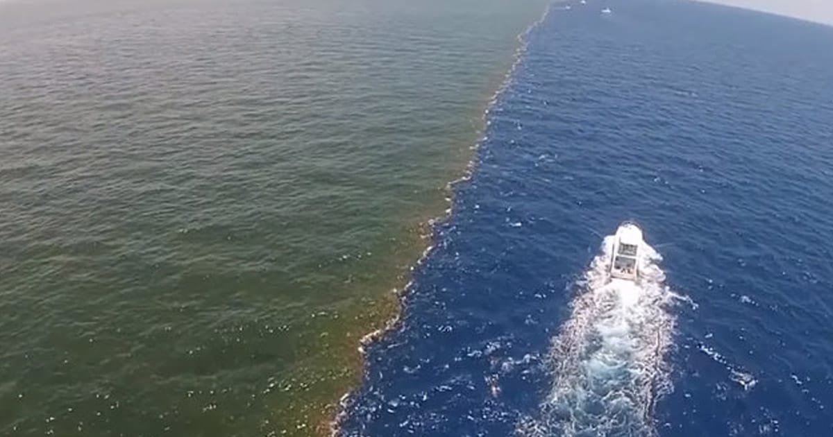 Alaska Körfezi'nde Tuzlu ve Tatlı Suların Sıradışı Buluşması