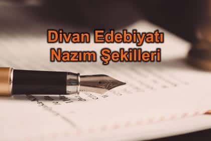 Divan Edebiyatı Nazım Şekilleri