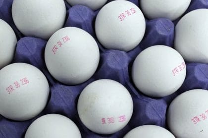 Yumurtaların Arkasındaki Sayısal Sırlar Etiketlerin Anlamı