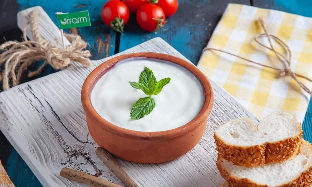 Doğal Yoğurt Yapmanın Püf Noktaları