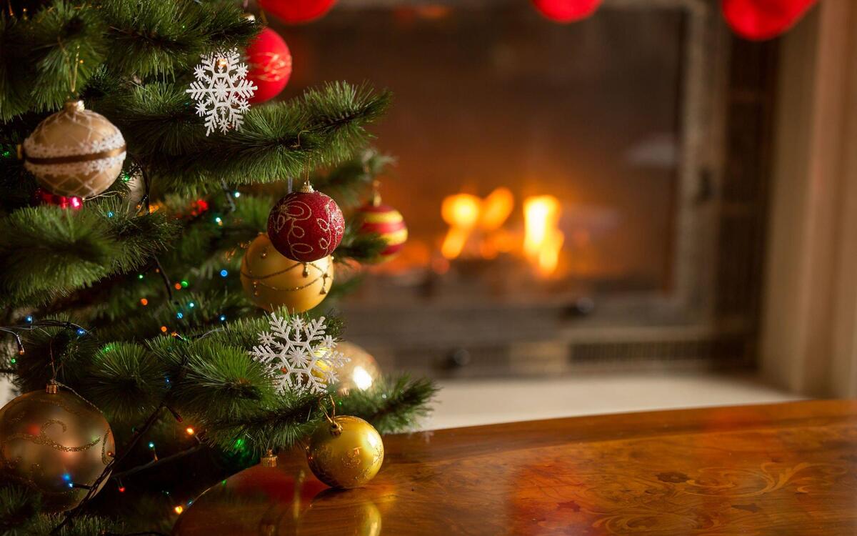 Noel Ağacı Nasıl Ortaya Çıktı