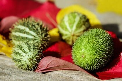 Hidrasyonu Sağlamak İçin Bol Su Tüketimi