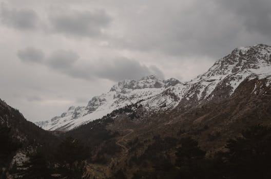 Vahşi Doğanın Efendileri: Yırtıcı Hayvanlar